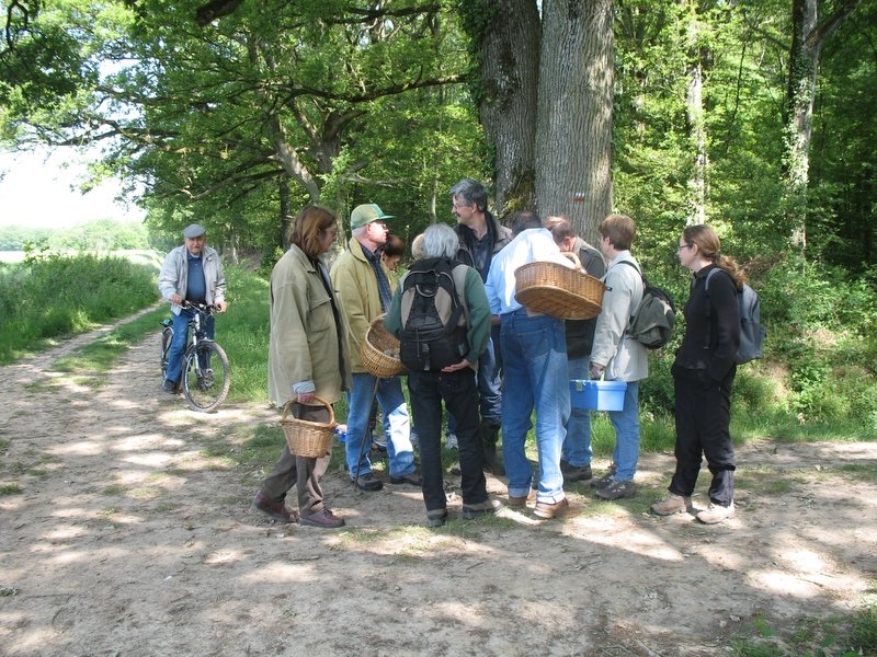 2006 myco ANY CERF 3.06.06 011